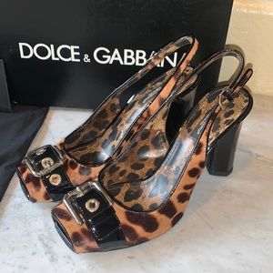 Dolce & Gabbana Leopard Spuntata Pony St. Leo Heels